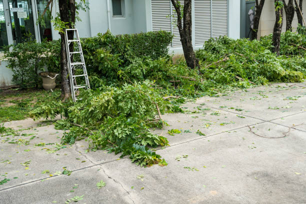 Best Lawn Watering Services  in Caney, KS